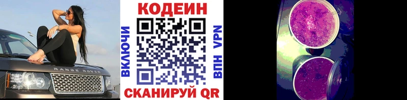 продажа наркотиков  Чайковский  дарк нет формула  Кодеин Purple Drank 
