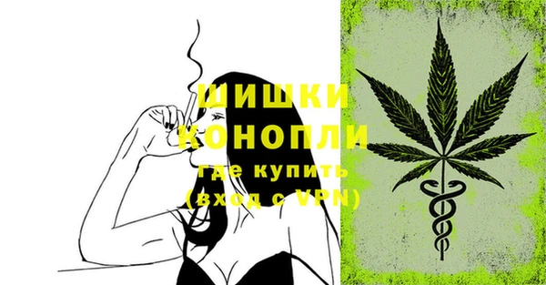 Альфа ПВП Лиски