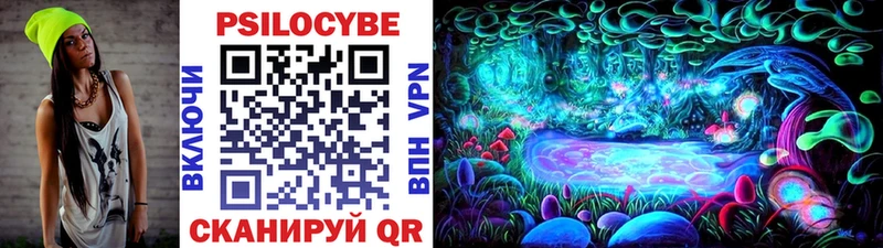 где можно купить   Чайковский  Галлюциногенные грибы Psilocybe 
