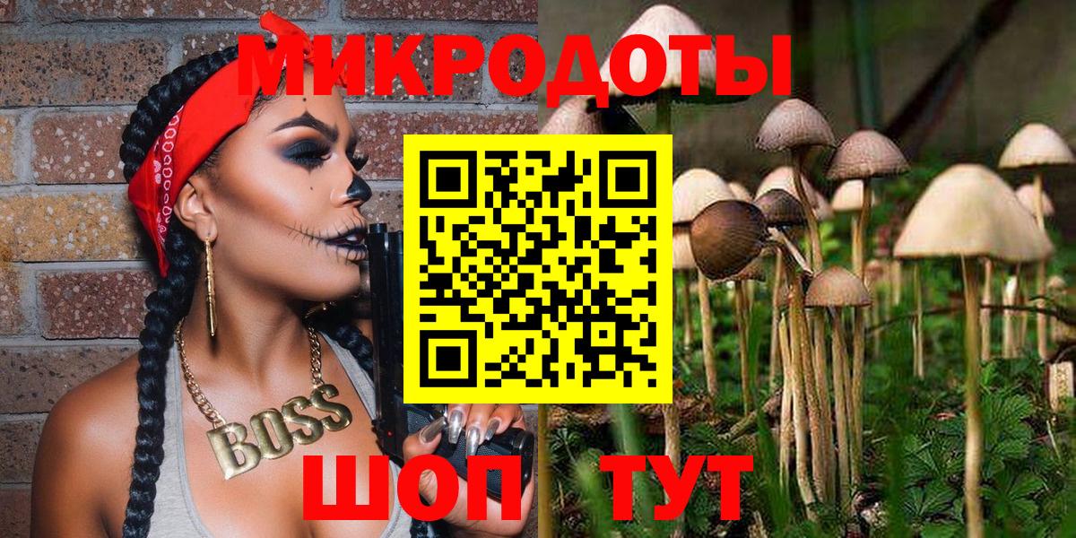 Чайковский  Псилоцибиновые грибы GOLDEN TEACHER  Вход с VPN 