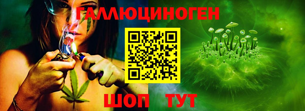 Псилоцибиновые грибы мухоморы  Чайковский 